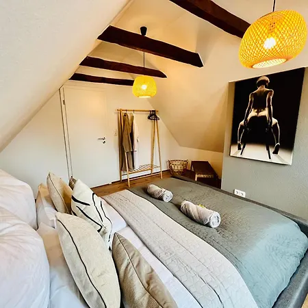 Aycatcherhomes - Luna Boutique Duplex Apt 3Br 2Ba 7G Old Town Marburg Marburg